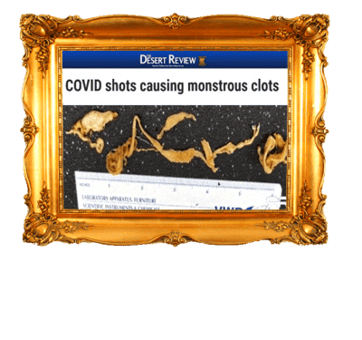 The COVID 19 Vaccines Are Killing People 